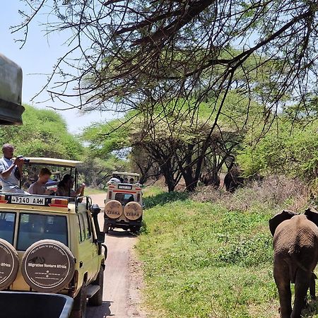 Boma la Ngombe Safi House Bed & Breakfast エクステリア 写真