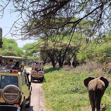 Boma la Ngombe Safi House Bed & Breakfast エクステリア 写真