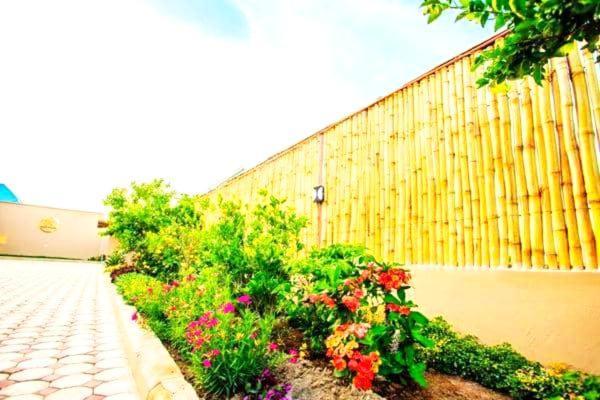 Boma la Ngombe Safi House Bed & Breakfast エクステリア 写真