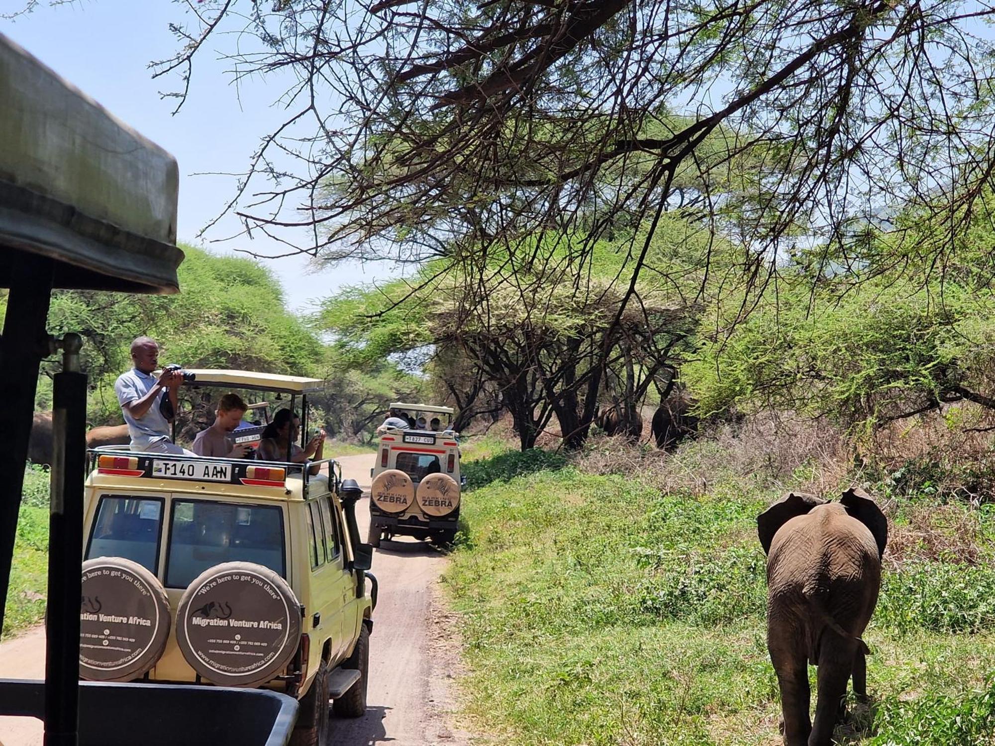 Boma la Ngombe Safi House Bed & Breakfast エクステリア 写真