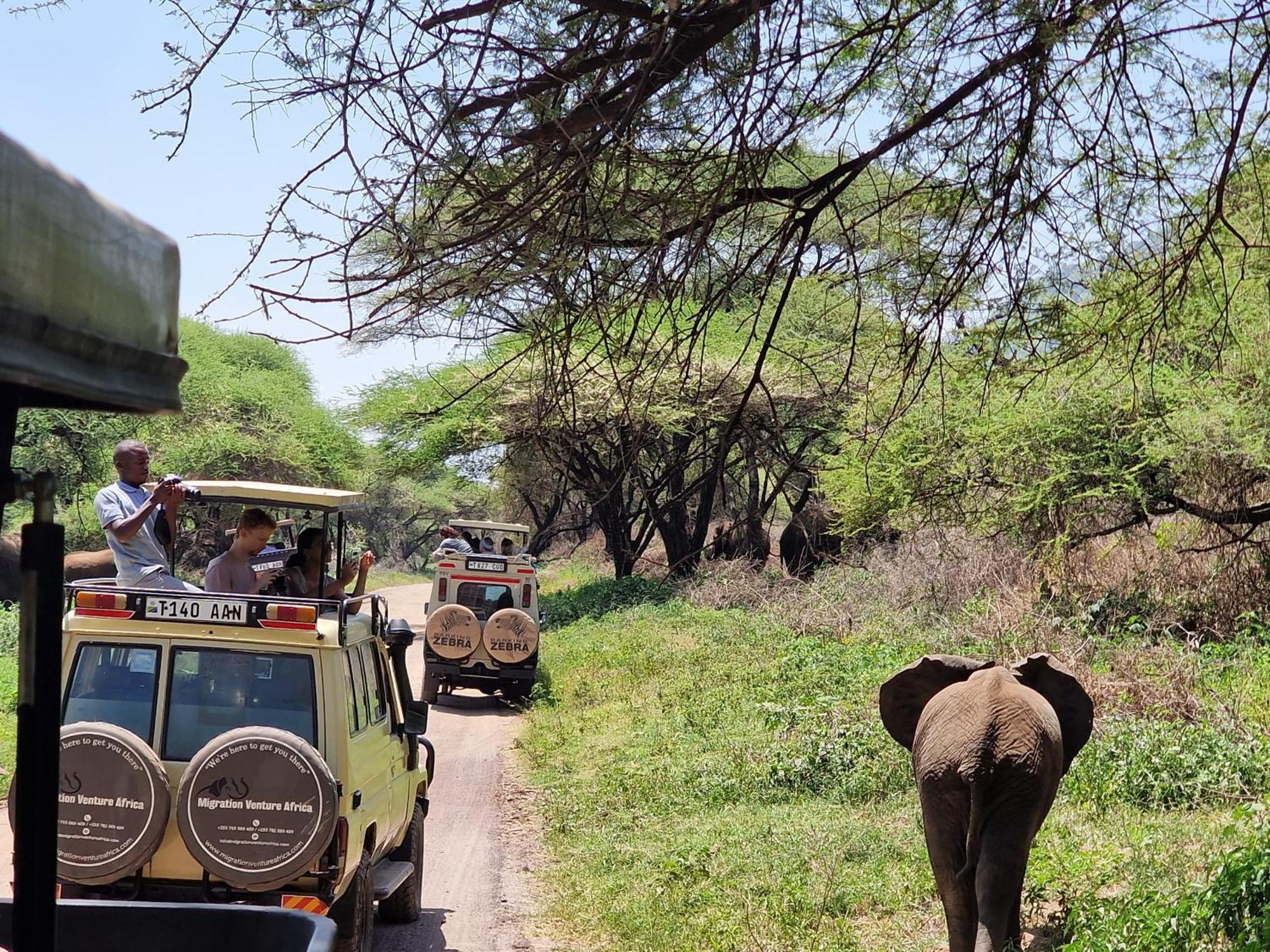 Boma la Ngombe Safi House Bed & Breakfast エクステリア 写真